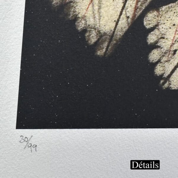 Edition N12 BEN CHEFFAJ</br><span class="dimension">Dimensions 100 x 78 cm <br> <a href="https://bloc9art.com/product-category/artists/ben-cheffaj-saad/"><u>BEN CHEFFAJ Saad</u></a></span> - Image 3